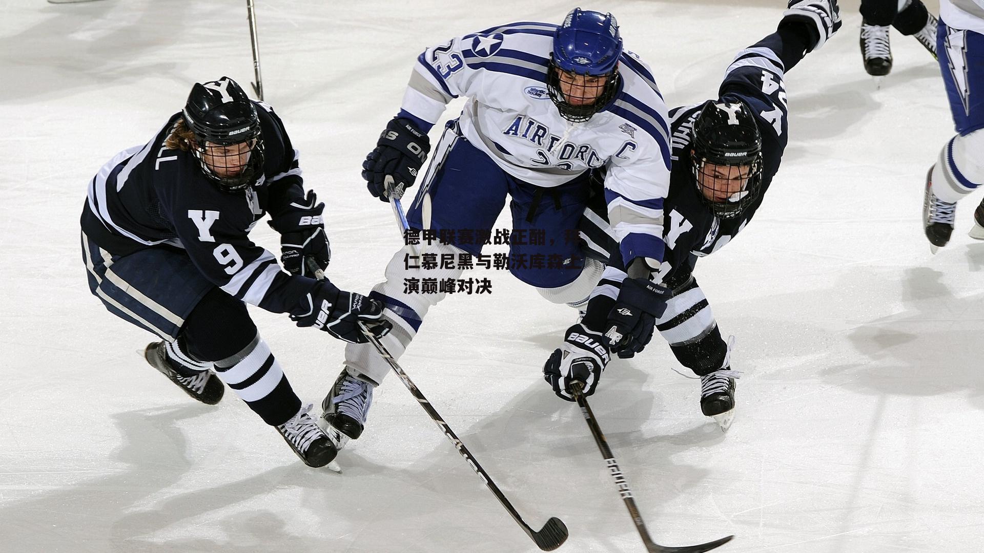 德甲联赛激战正酣,拜仁慕尼黑与勒沃库森上演巅峰对决